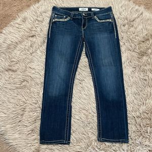 Daytrip Virgo Skinny Jeans, 30S